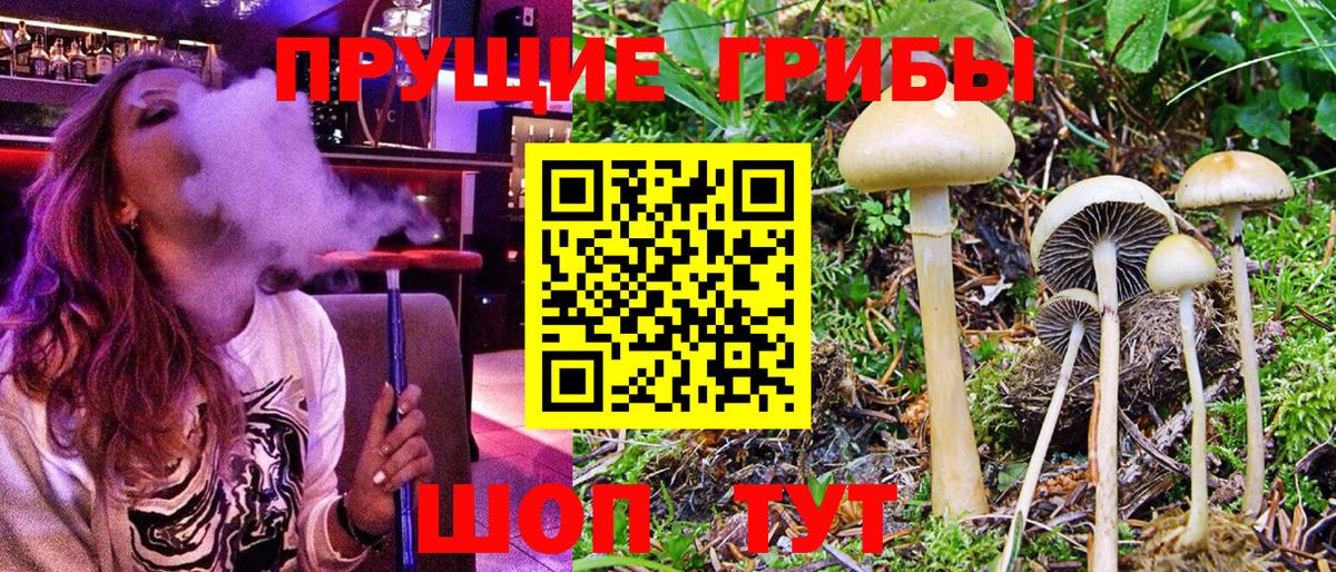 Саранск  Псилоцибиновые грибы прущие грибы  Вход с VPN  Псилоцибиновые грибы Magic Shrooms 