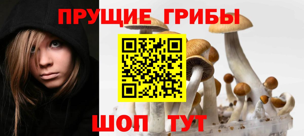 Саранск  Бошки Шишки  Меф МЯУ МЯУ   КОКАИН  Вход с VPN  Гашиш 
